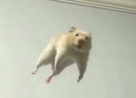 이미지 = 핀터레스트 캡처 (https://kr.pinterest.com/pin/830491987574748430/)