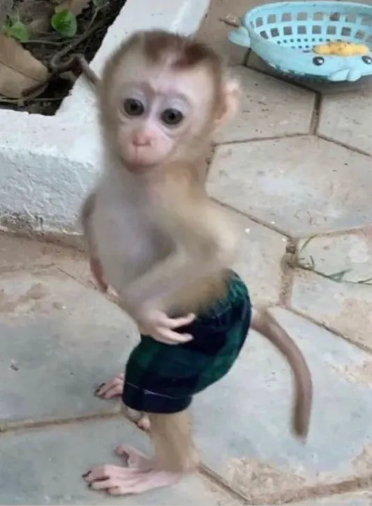 이미지 = 핀터레스트 캡처 (https://kr.pinterest.com/pin/865043040936274370/)