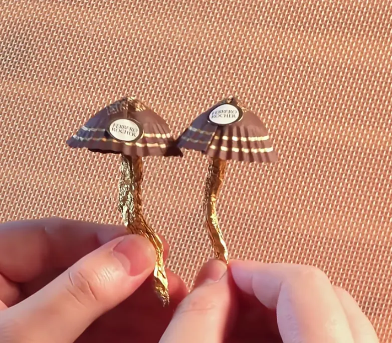 이미지 = 유튜브 캡쳐 (https://youtube.com/shorts/EFvWS6c64Ds)