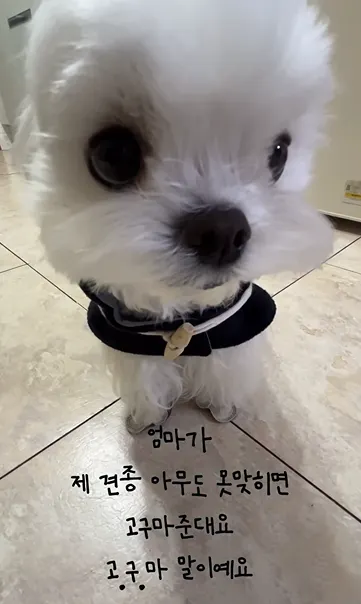 이미지 = 인스타그램 캡처 (https://www.instagram.com/p/DUcL7Fqksrq/)