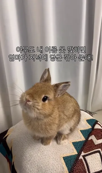 이미지 = 인스타그램 캡처 (https://www.instagram.com/p/DUSWwZWCcIi/)