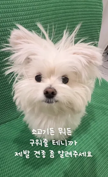 이미지 = 인스타그램 캡처 (https://www.instagram.com/reel/DUk_2bSE3I-/)