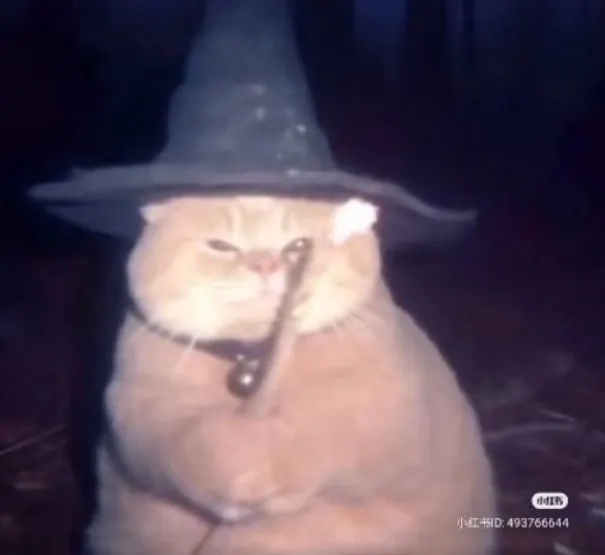 이미지 = 네이버 블로그 캡처 (https://blog.naver.com/mssixx/223697831394)