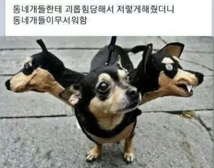 이미지 = 네이버 블로그 캡처 (https://blog.naver.com/welcomeneogul/222554467438)