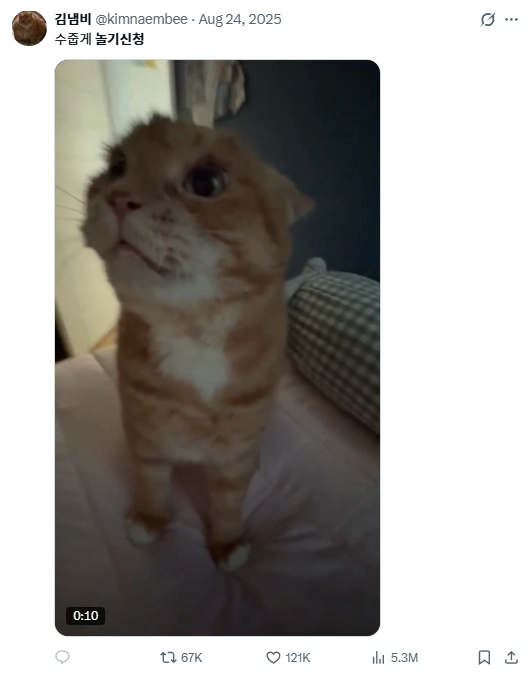 이미지 = X캡처 (https://x.com/kimnaembee/status/1959383706092920893?s=20)