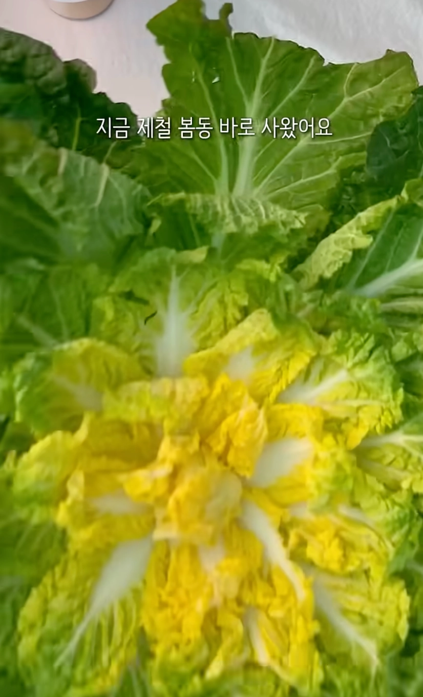 이미지 = 유튜브 ‘식탁 위 희연’ 쇼츠 캡쳐 (https://www.youtube.com/shorts/G23VyJUoFJU)