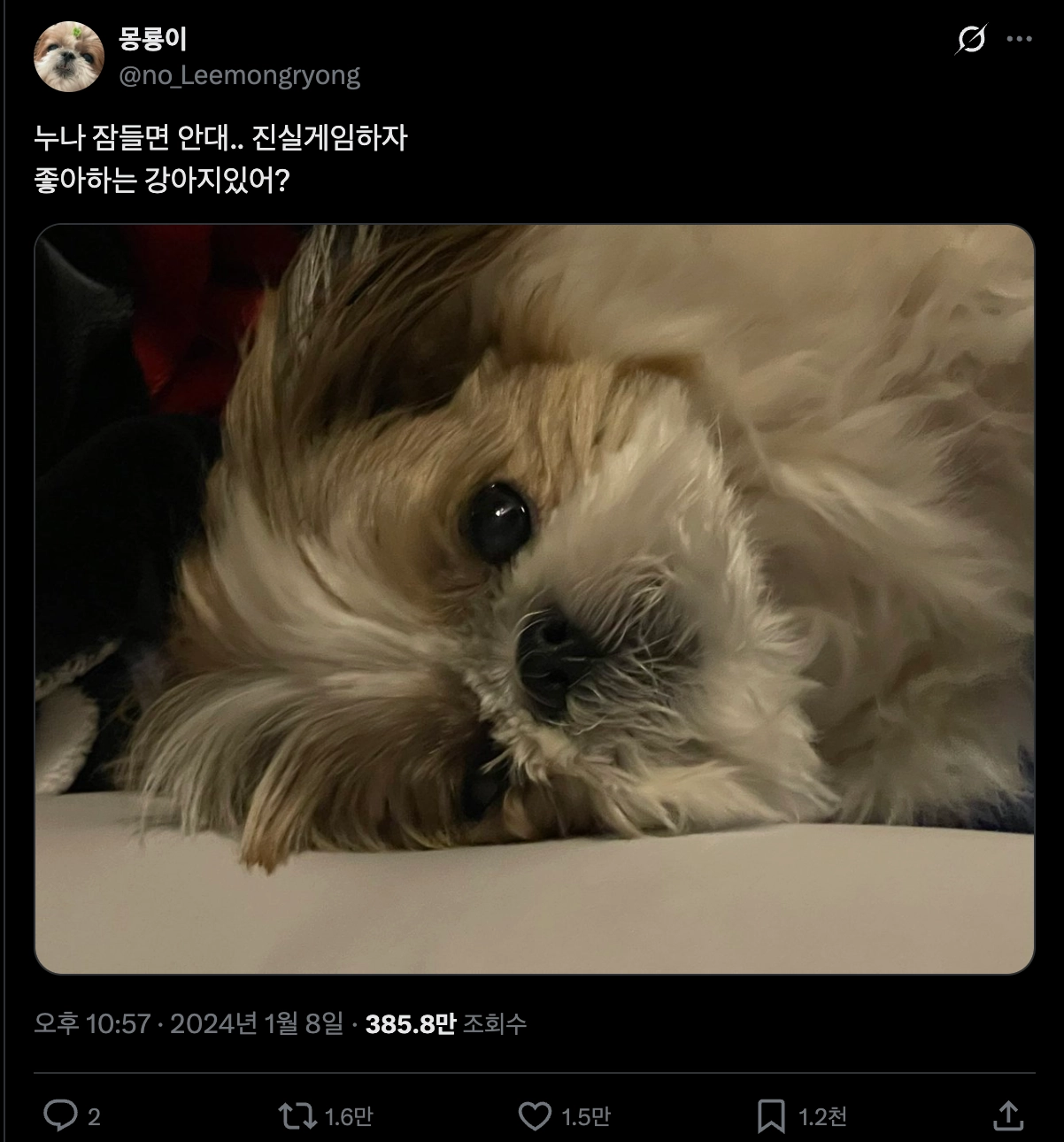 이미지 = X 캡처 (https://x.com/no_Leemongryong/status/1744357554237411585)