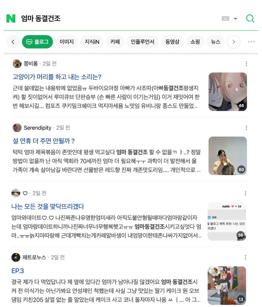 이미지 = 네이버 ‘엄마 동결건조’ 검색 화면 캡처 (https://search.naver.com/search.naver?ssc=tab.blog.all&query=엄마 동결건조&sm=tab_opt&nso=so%3Add%2Cp%3Aall)