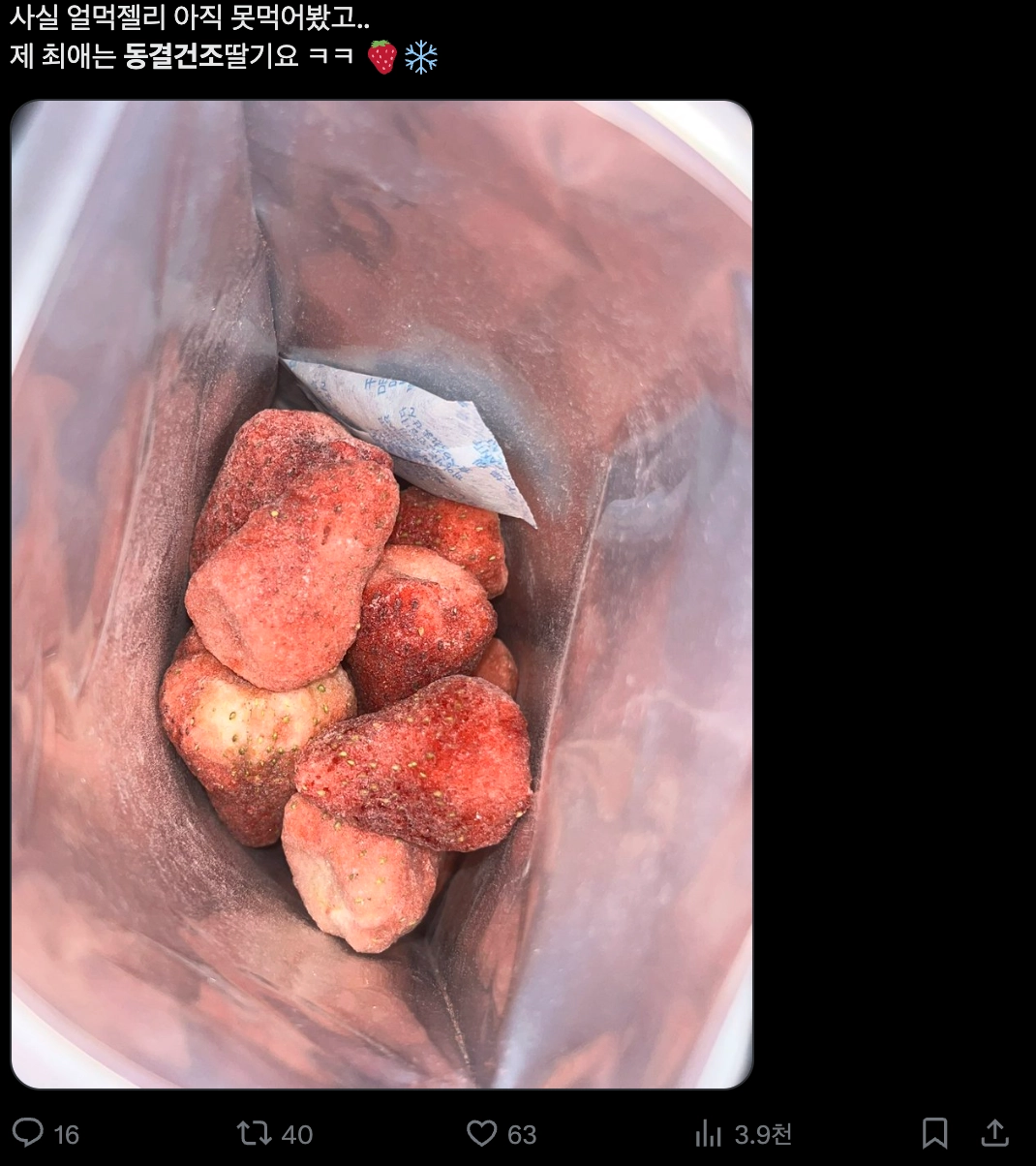 이미지 = X 캡쳐 (https://x.com/gooodssummer/status/2021111354632163359?s=20)