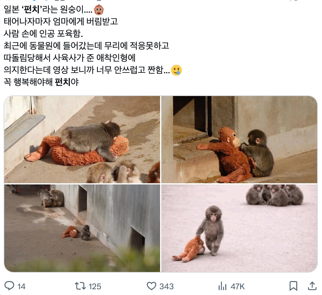 이미지 = X 캡쳐 (https://x.com/u_r_summer_/status/2023300913532956715/photo/1)