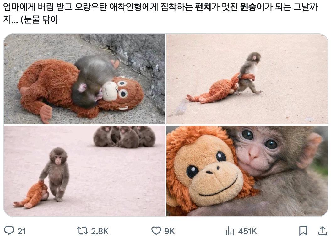 이미지 = X 캡쳐 (https://x.com/keepwriting_and/status/2025121948309786648?s=20)