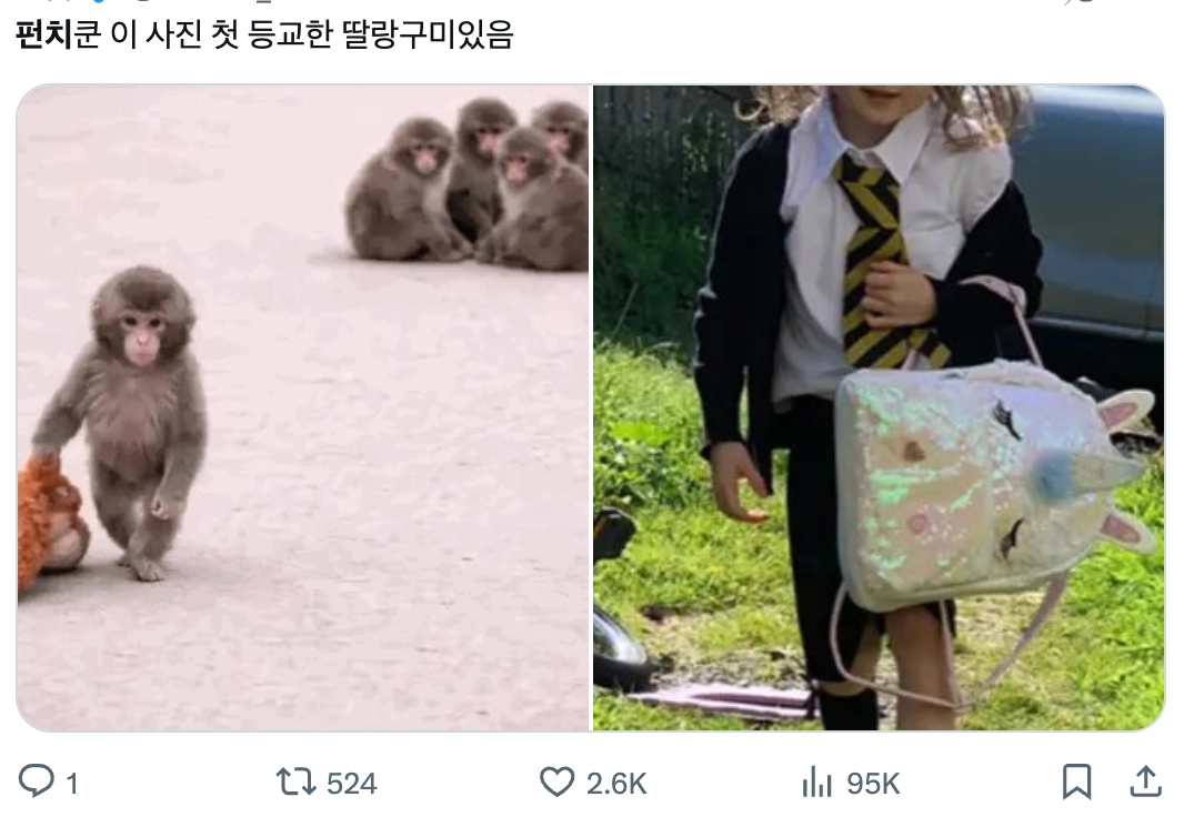 이미지 = X 캡쳐 (https://x.com/noreut_/status/2023350046373396578?s=20)