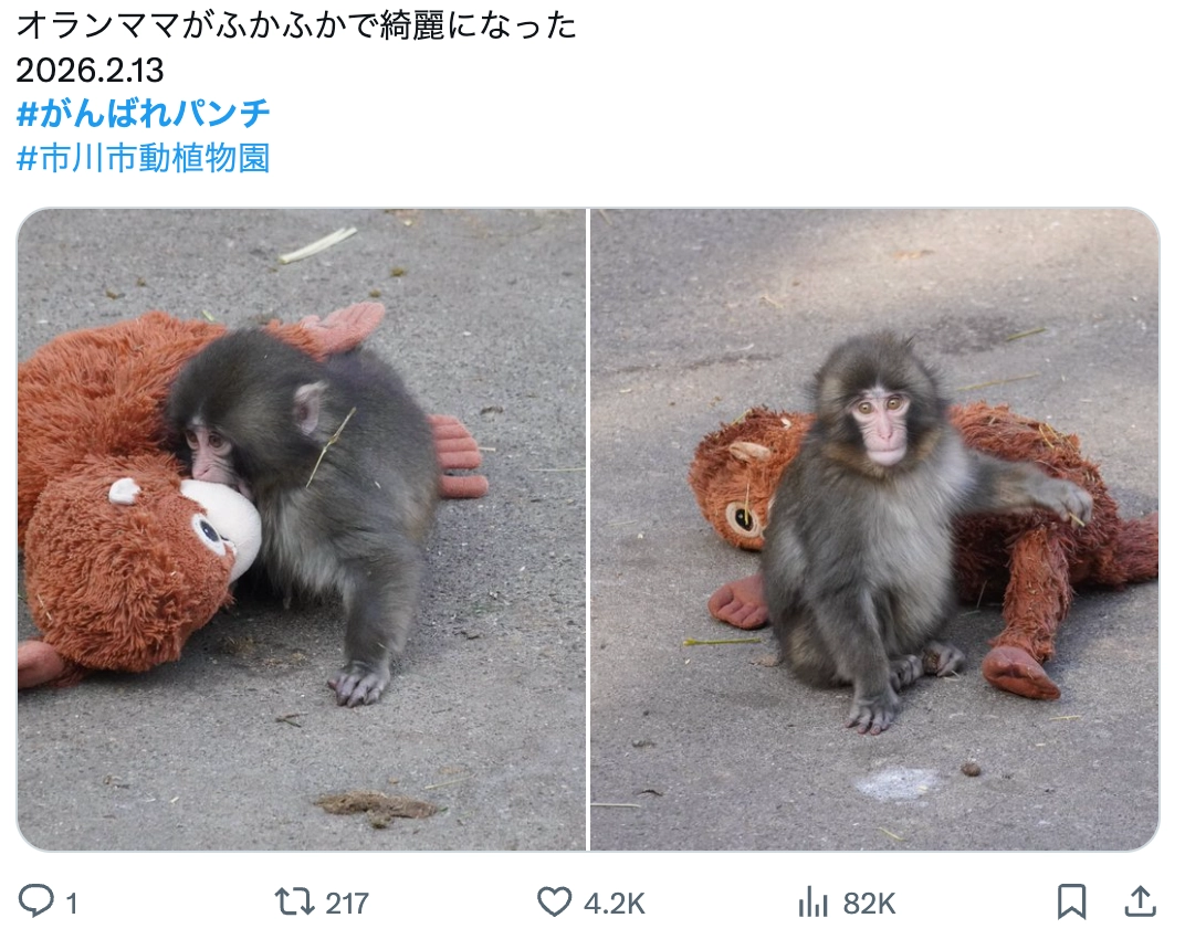 이미지 = X 캡쳐 (https://x.com/yui_390tongari/status/2026674919321514293?s=20)