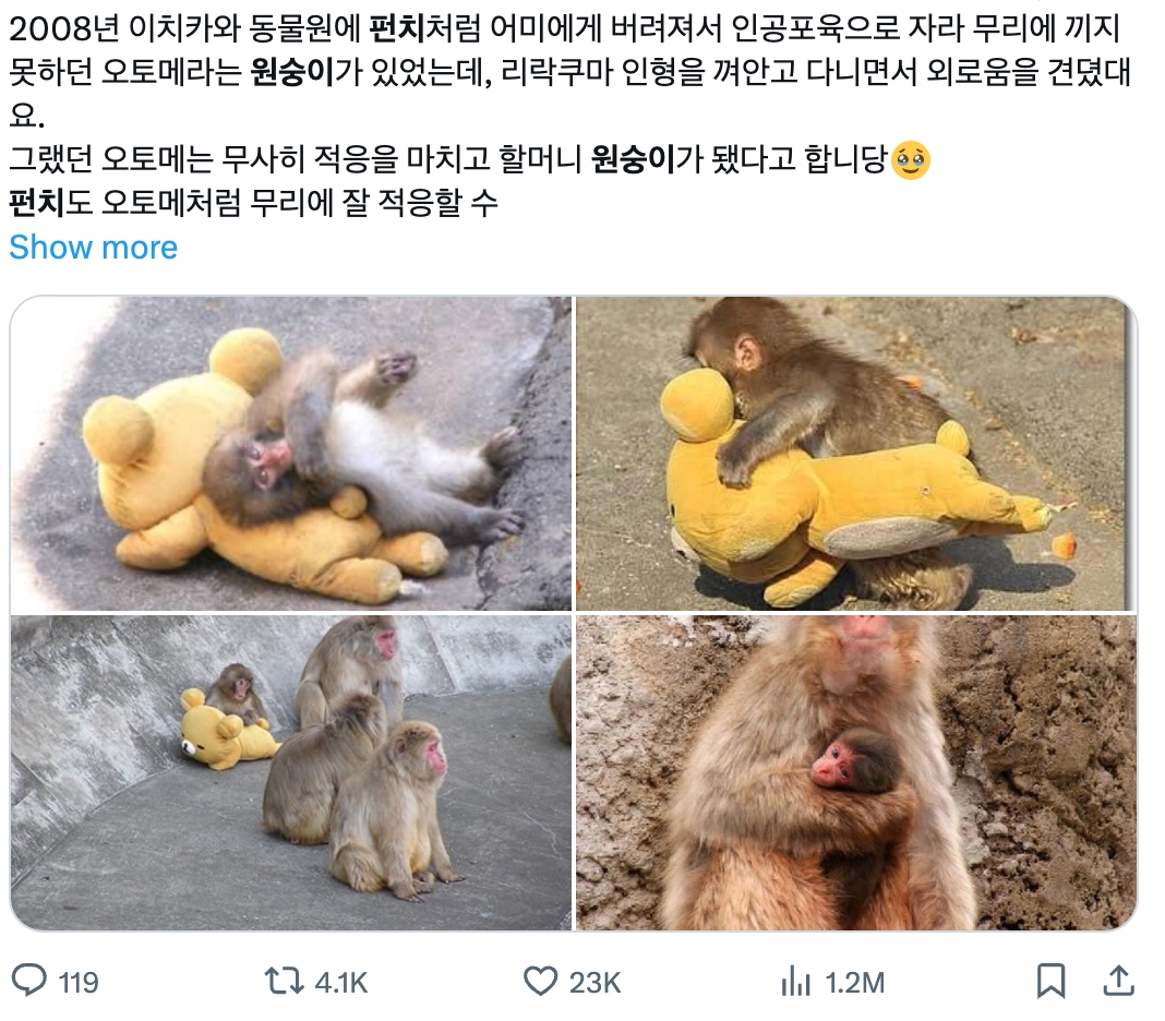 이미지 = X 캡쳐 (https://x.com/noreut_/status/2023350046373396578?s=20)