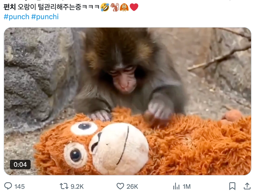 이미지 = X 캡쳐 (https://x.com/pu2022138/status/2026854386291585369?s=20)