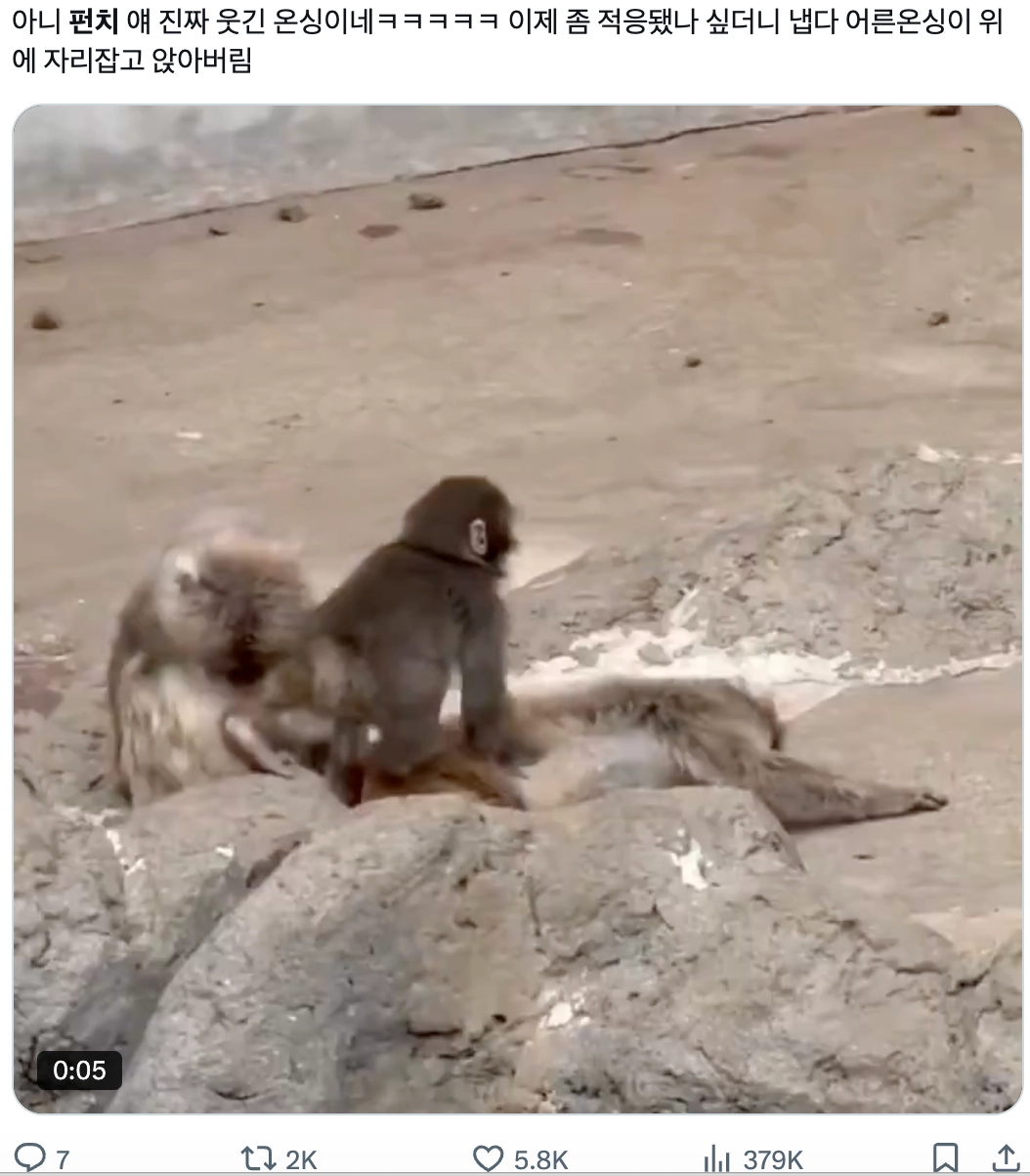 &nbsp;이미지 = X 캡쳐 (https://x.com/noreut_/status/2023664872018637283?s=20)