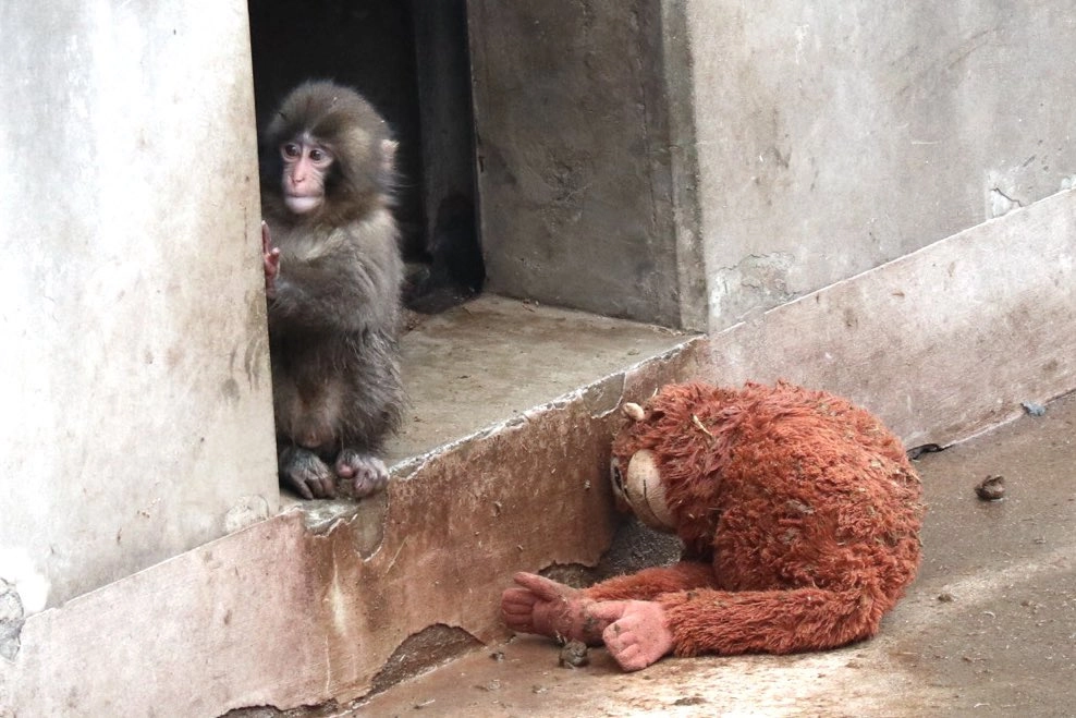 이미지 = X 캡쳐 (https://x.com/noreut_/status/2023975026421363018?s=20)