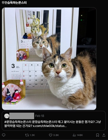 이미지 = X캡처 (https://x.com/4_wonderfullife/status/2024080052564959547?s=20)