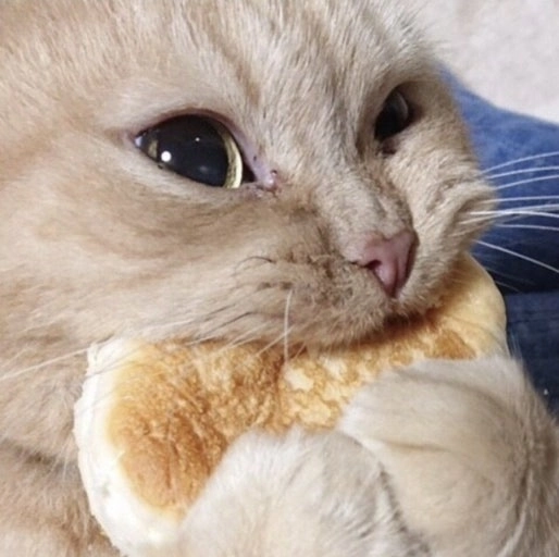 이미지 = 네이버 블로그 캡쳐 (https://blog.naver.com/nezzinuna/223167477669)