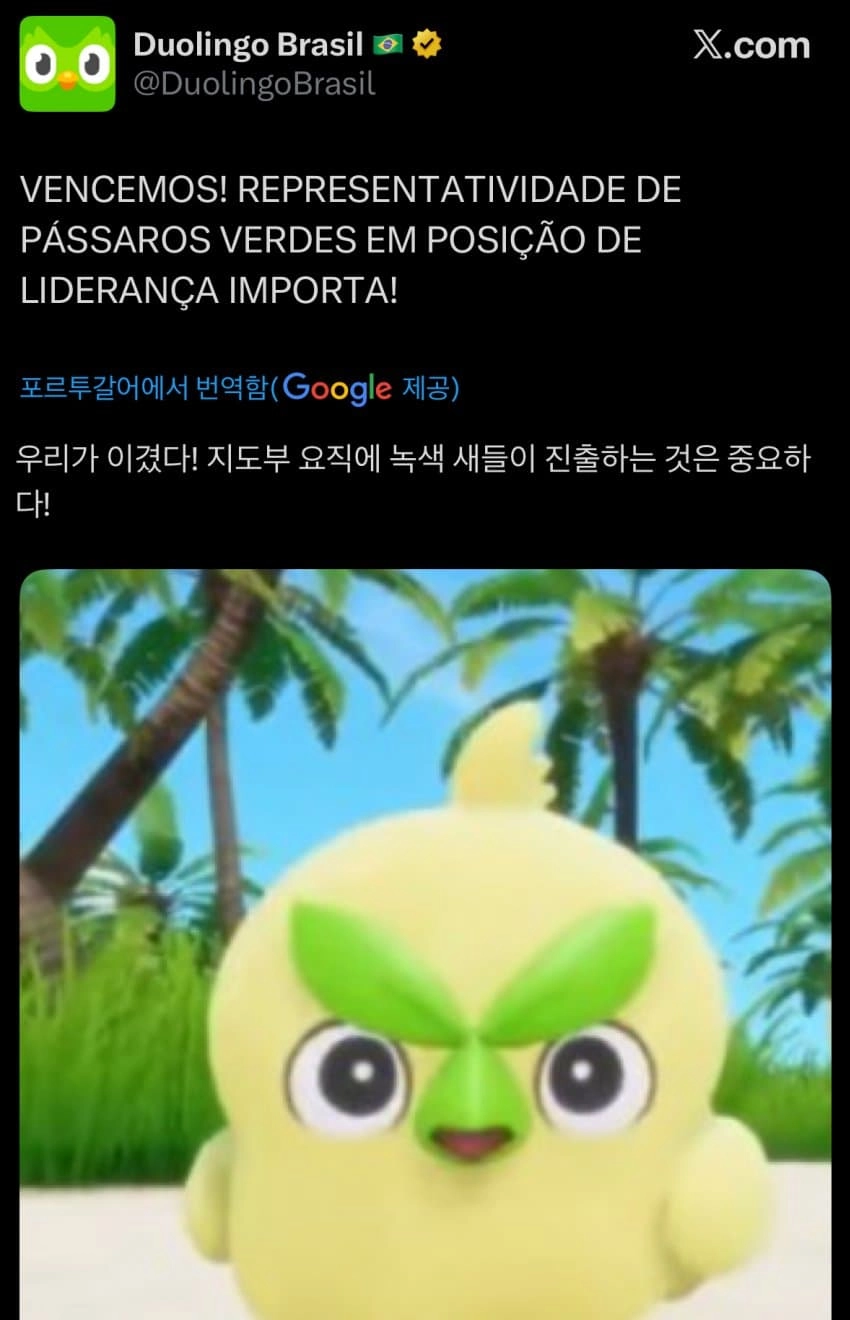이미지 = X 캡쳐 (https://x.com/DuolingoBrasil/status/2027393229277007981?s=20)