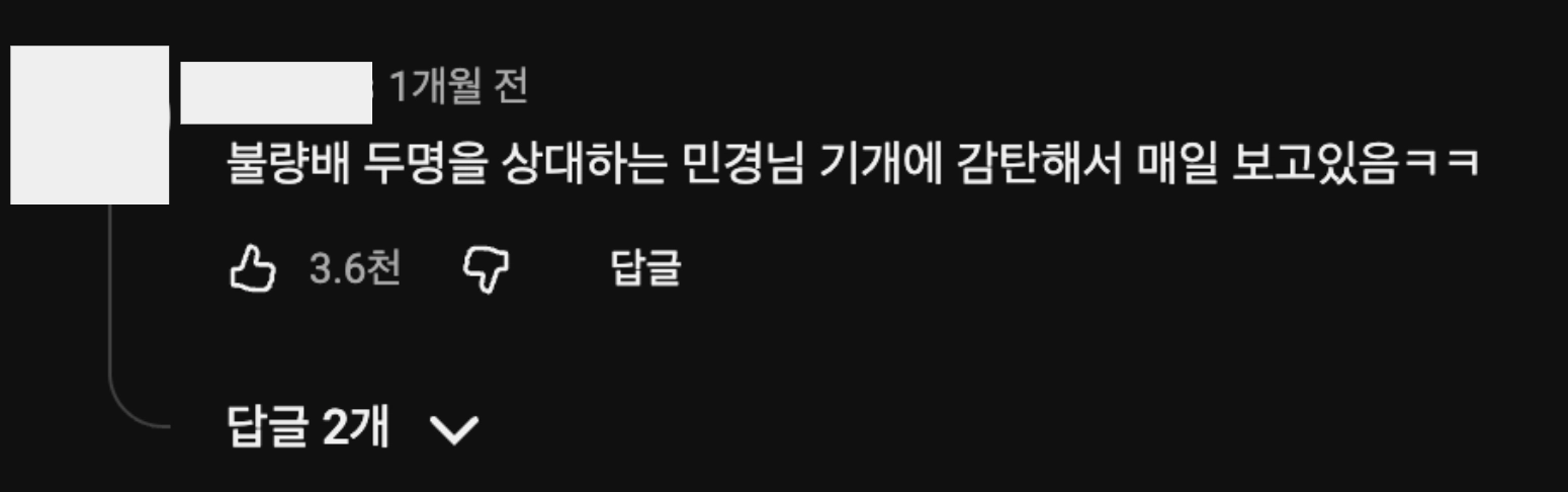 이미지 = 유튜브 ‘@Moneygraphy’ 채널 영상 댓글 캡처 (https://www.youtube.com/watch?v=Rwx2EGl7i2U)