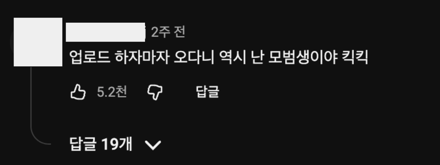 이미지 = 유튜브 ‘@Moneygraphy’ 채널 영상 댓글 캡처 (https://www.youtube.com/watch?v=lFQ4dVfp1pg)