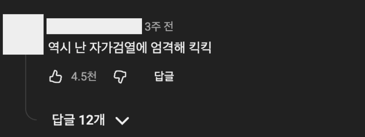 이미지 = 유튜브 ‘@Moneygraphy’ 채널 쇼츠 댓글 캡처 (https://www.youtube.com/shorts/0SoFsBcIkGA)