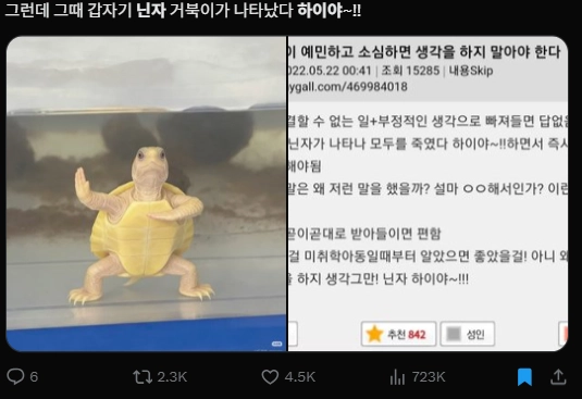 이미지 = X캡처 (https://x.com/dailymocabunny/status/2028358329211421098?s=20)