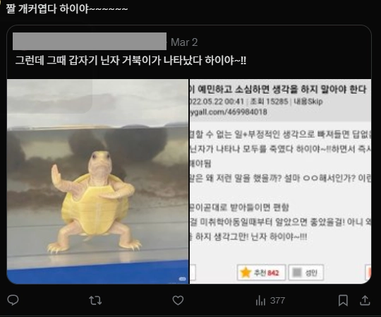 이미지 = X캡처 (https://x.com/ekfrqkf1022/status/2028359774103011377?s=20)