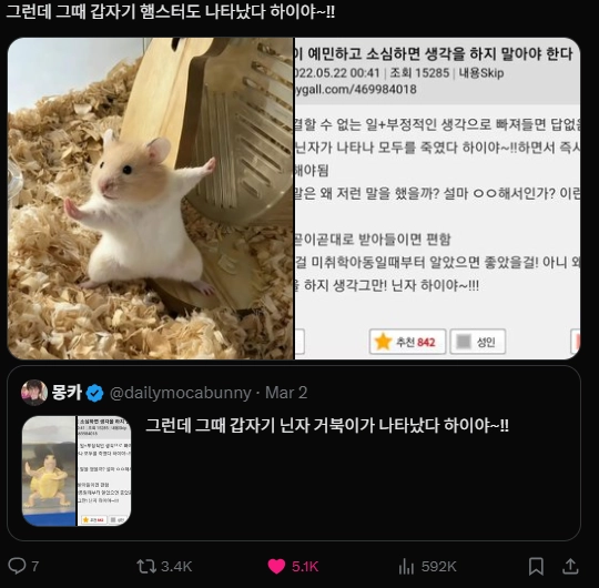 이미지 = X캡처 (https://x.com/dailymocabunny/status/2033106861151723532?s=20)