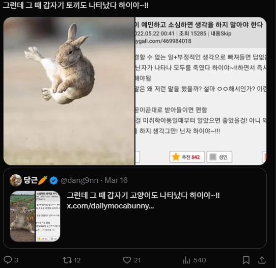 이미지 = X캡처 (https://x.com/son_fragrance/status/2033633187168194710?s=20)