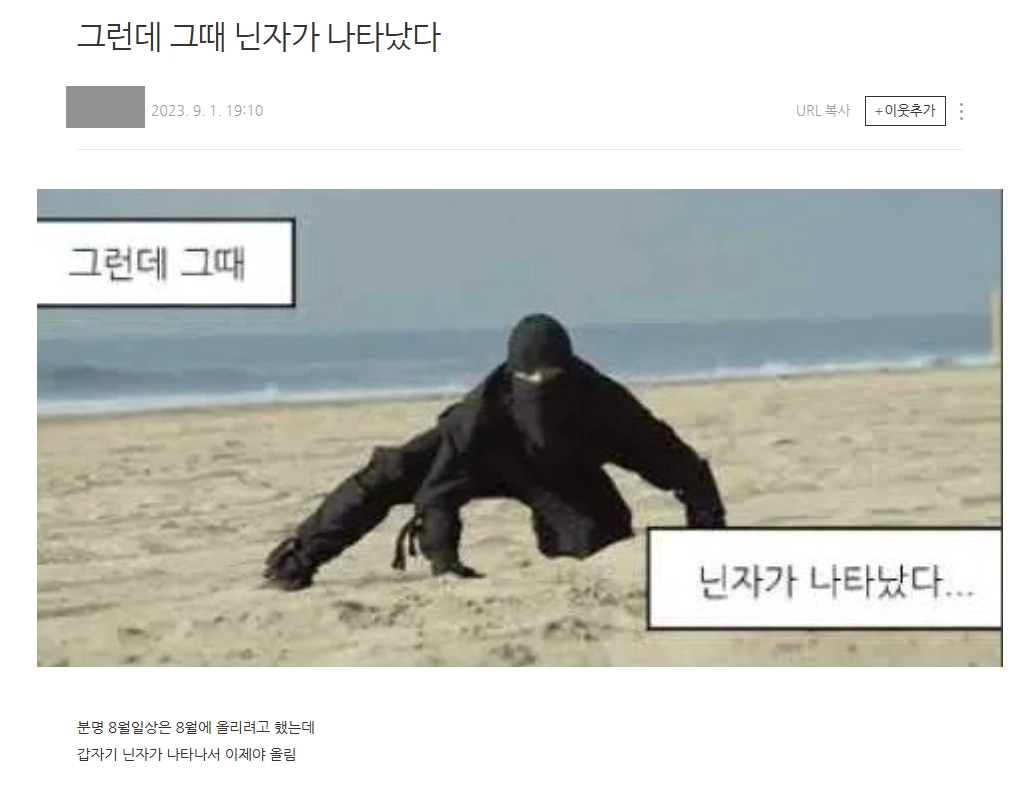 이미지 = 네이버 블로그 캡처 (https://blog.naver.com/rnalsgml15/223199879753)