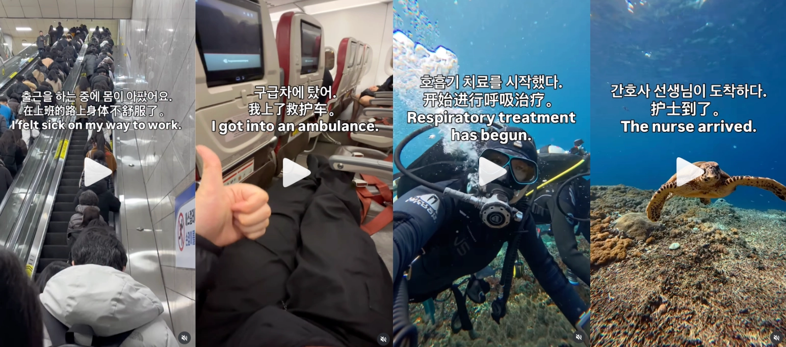 이미지 = 인스타그램 ‘@cchcch_the_puffer’ 채널 릴스 캡처 (https://www.instagram.com/reels/DV_LHe2EyzT/)