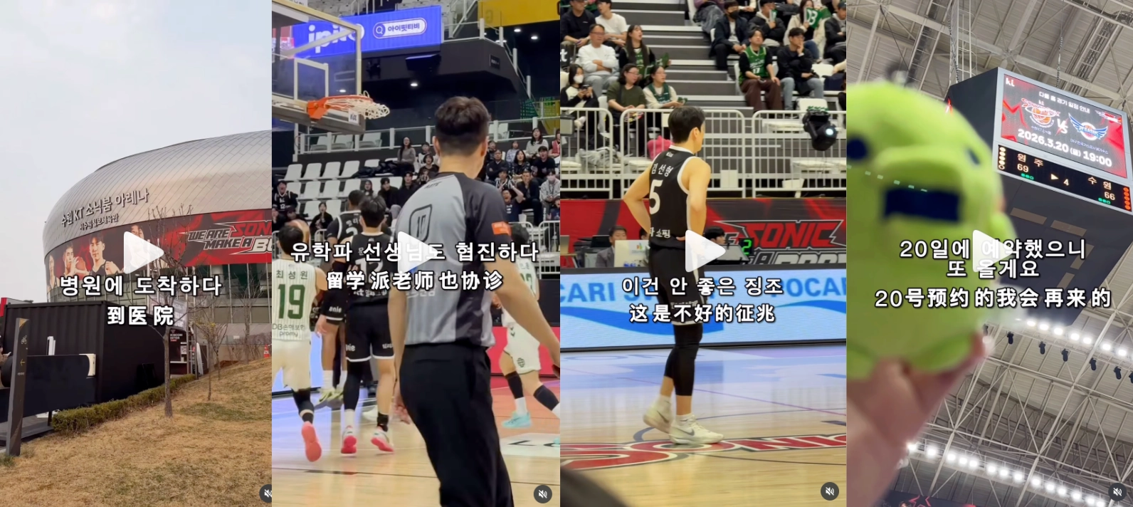 이미지 = 인스타그램 ‘@aararazel’ 채널 릴스 캡처 (https://www.instagram.com/reel/DWCMncjkiEv/)