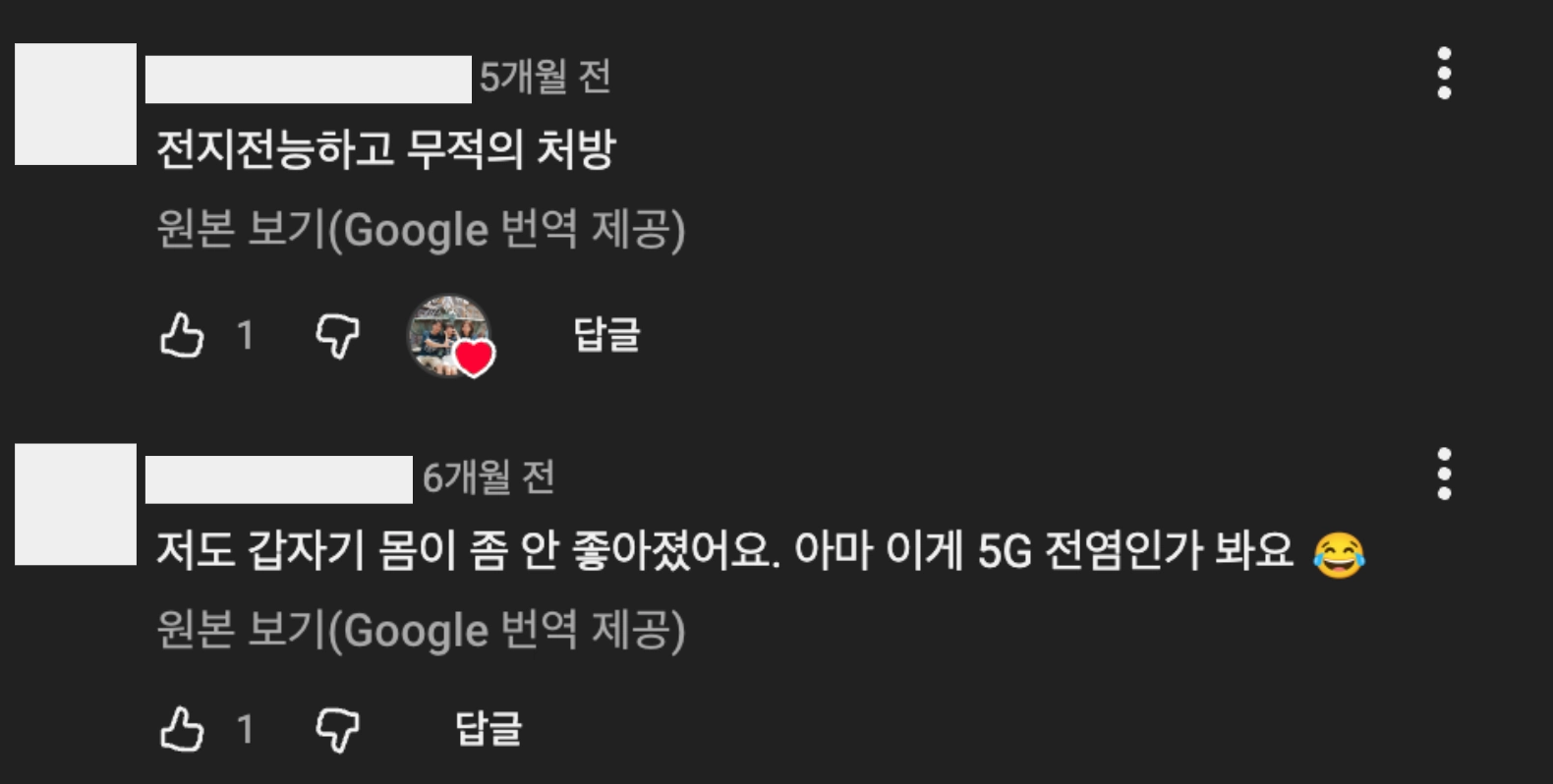 이미지 = 유튜브 ‘@AlishaChannel901’ 채널 영상 댓글 캡처 (https://www.youtube.com/shorts/8sPJK8XD3AM)