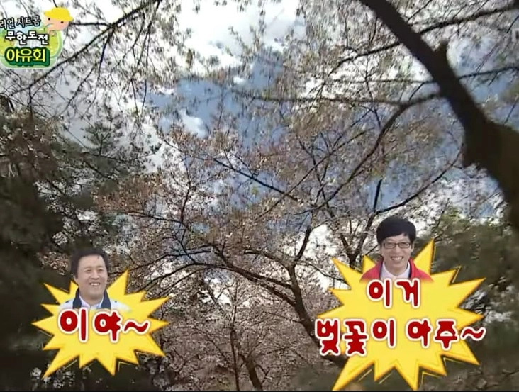 이미지 = 핀터레스트 캡처 (https://kr.pinterest.com/pin/42573158972658775/)