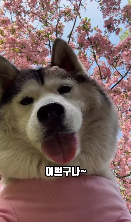 이미지 = 인스타그램 캡처 (https://www.instagram.com/reel/DWsrxgqDnY3/)