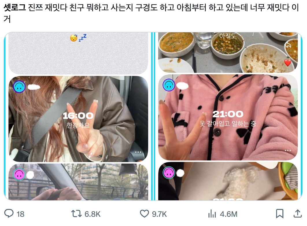 이미지 = X 캡쳐 (https://x.com/etre_du_soir/status/2039365137392599283?s=20)