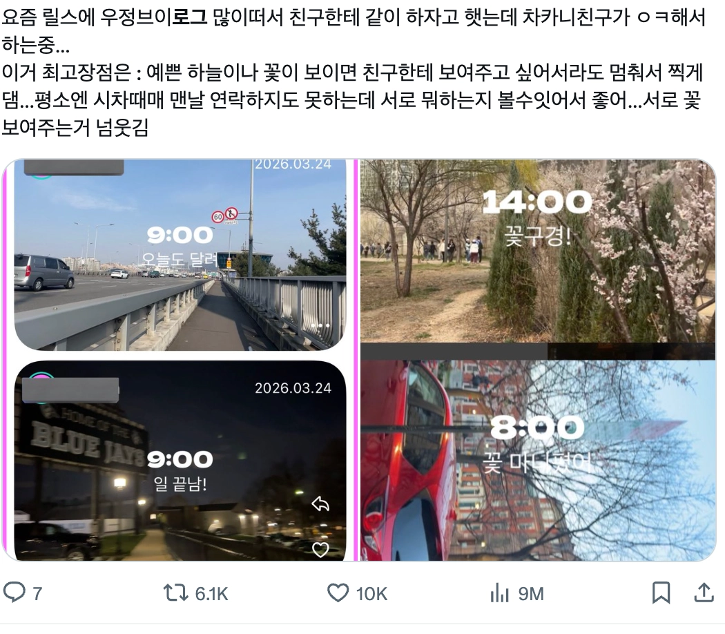 이미지 = X 캡쳐 (https://x.com/somuchb2ue/status/2038154616026943662?s=20)