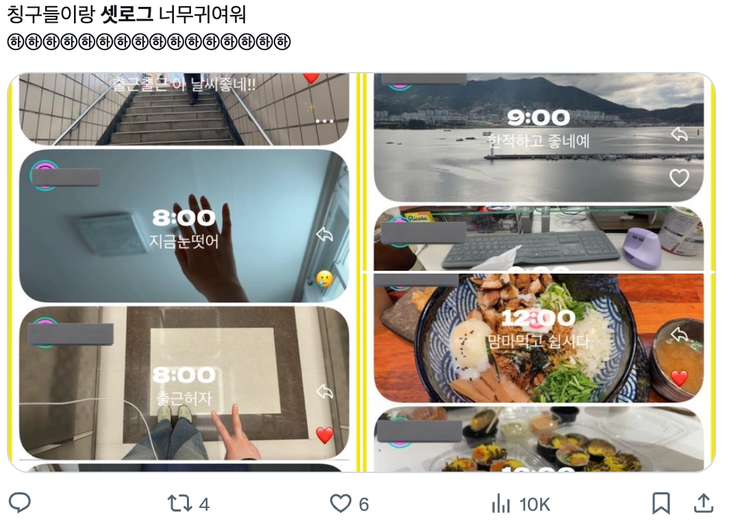 이미지 = X 캡쳐 (https://x.com/bbo__daily/status/2038831672775573926?s=20)