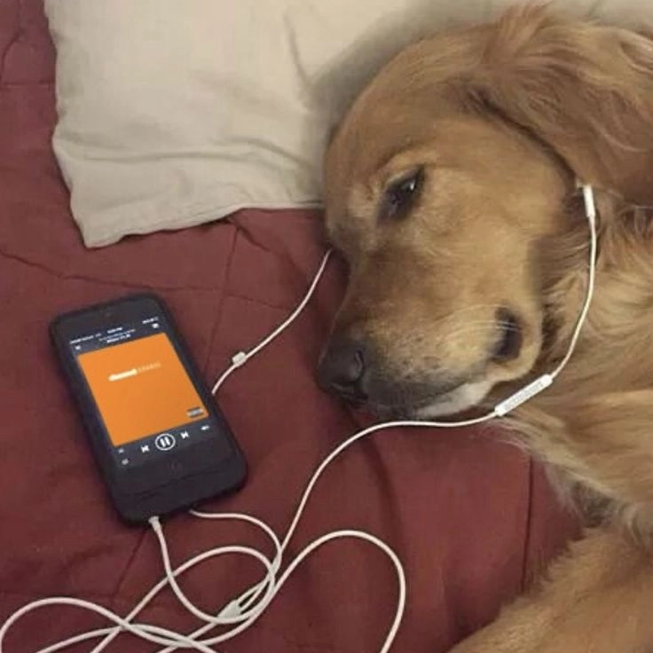 이미지 = 핀터레스트 캡처 (https://kr.pinterest.com/pin/49961877112656981/)