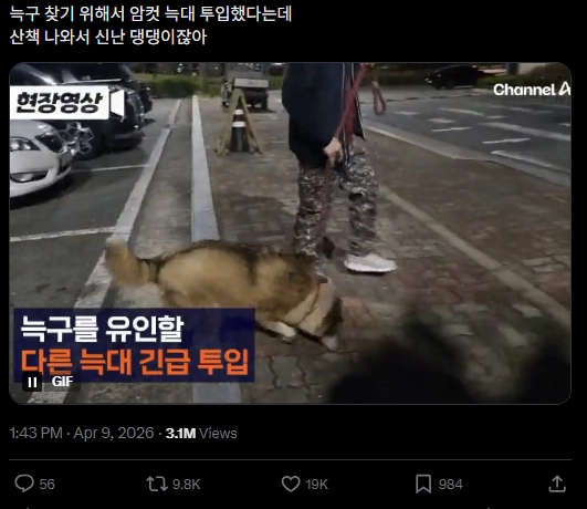 이미지 = X캡처 (https://x.com/Theclue_f/status/2042101087763886270?s=20)