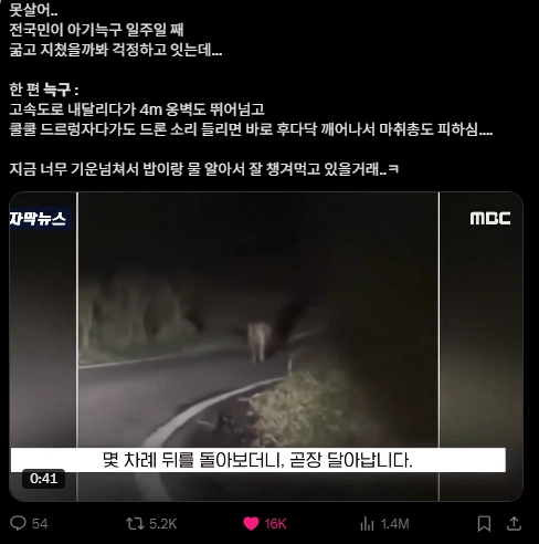 이미지 = X캡처 (https://x.com/calmturtie/status/2044275222094983437?s=20)