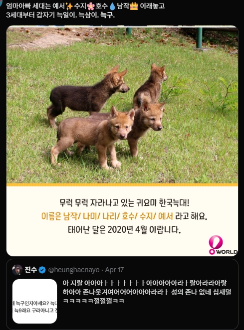 이미지 = X캡처 (https://x.com/700Doodle/status/2044960032614482147?s=20)