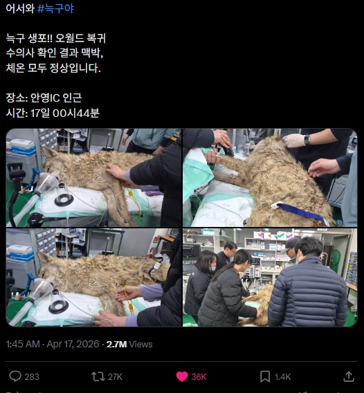 이미지 = X캡처 (https://x.com/DreamDaejeon/status/2044819384653508860)