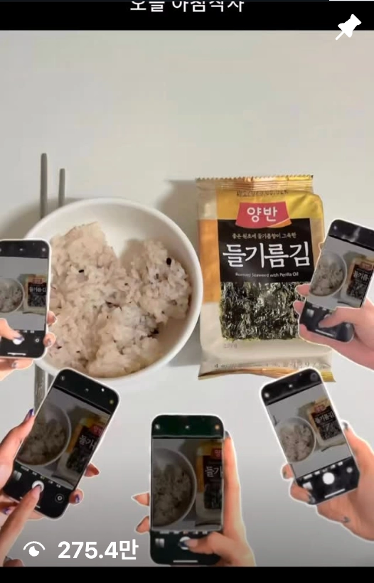 이미지 = 인스타그램 ‘@pj_raccoon’ 채널 릴스 탭 캡처 (https://www.instagram.com/reel/DWsWXw5Dy7H/)