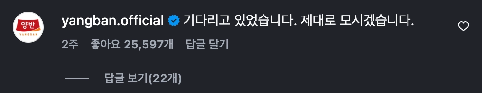 이미지 = 인스타그램 ‘@pj_raccoon’ 채널 릴스 댓글 캡처 (https://www.instagram.com/reel/DWsWXw5Dy7H/)