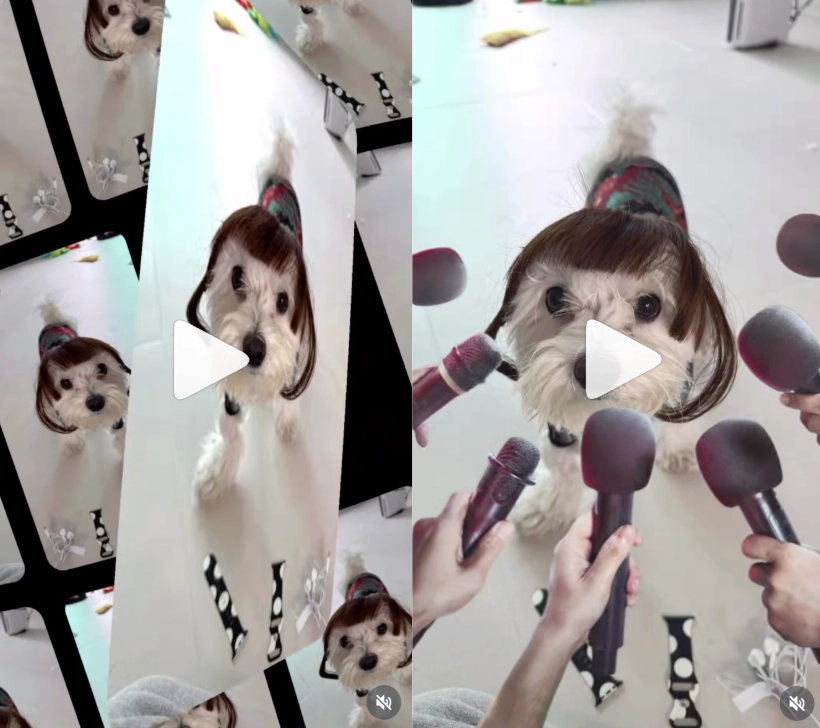 이미지 = 인스타그램 ‘@kimbaechu__’ 채널 릴스 캡처 (https://www.instagram.com/p/DXK7dsuE6xs/)