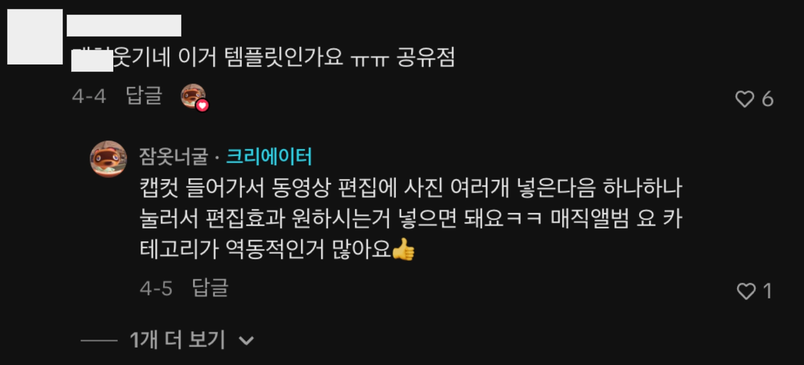 이미지 = 틱톡 ‘@pj_raccoon’ 채널 영상 댓글 캡처 (https://www.tiktok.com/@pj_raccoon/video/7624755971251768583)