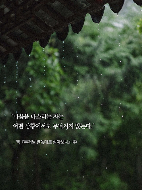 이미지 = 출판사 윌마 제공